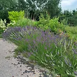 Karkonoskie Uroczysko 아파트 옐레니아구라