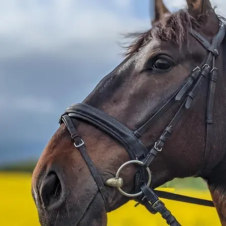 アパート Karkonoskie Uroczysko *