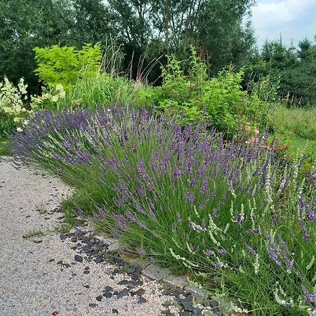 Karkonoskie Uroczysko アパート イェレニャ・グーラ