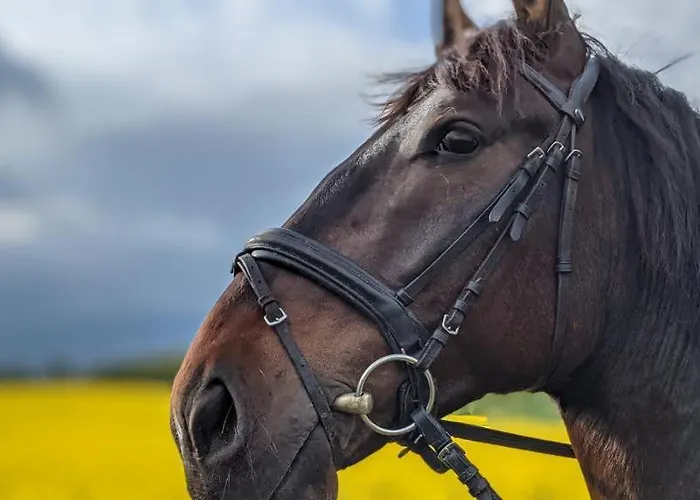 아파트 Karkonoskie Uroczysko *