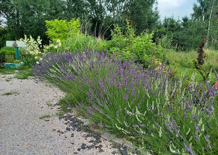 Karkonoskie Uroczysko 아파트 옐레니아구라